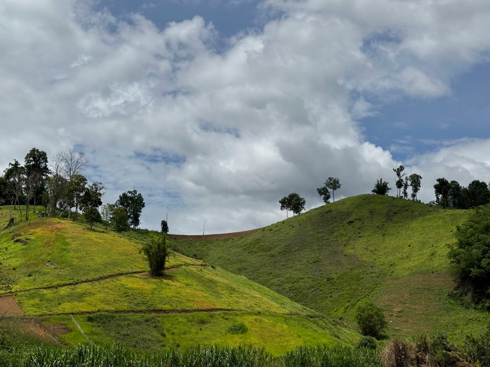 Lampang Farm Roads Explorer