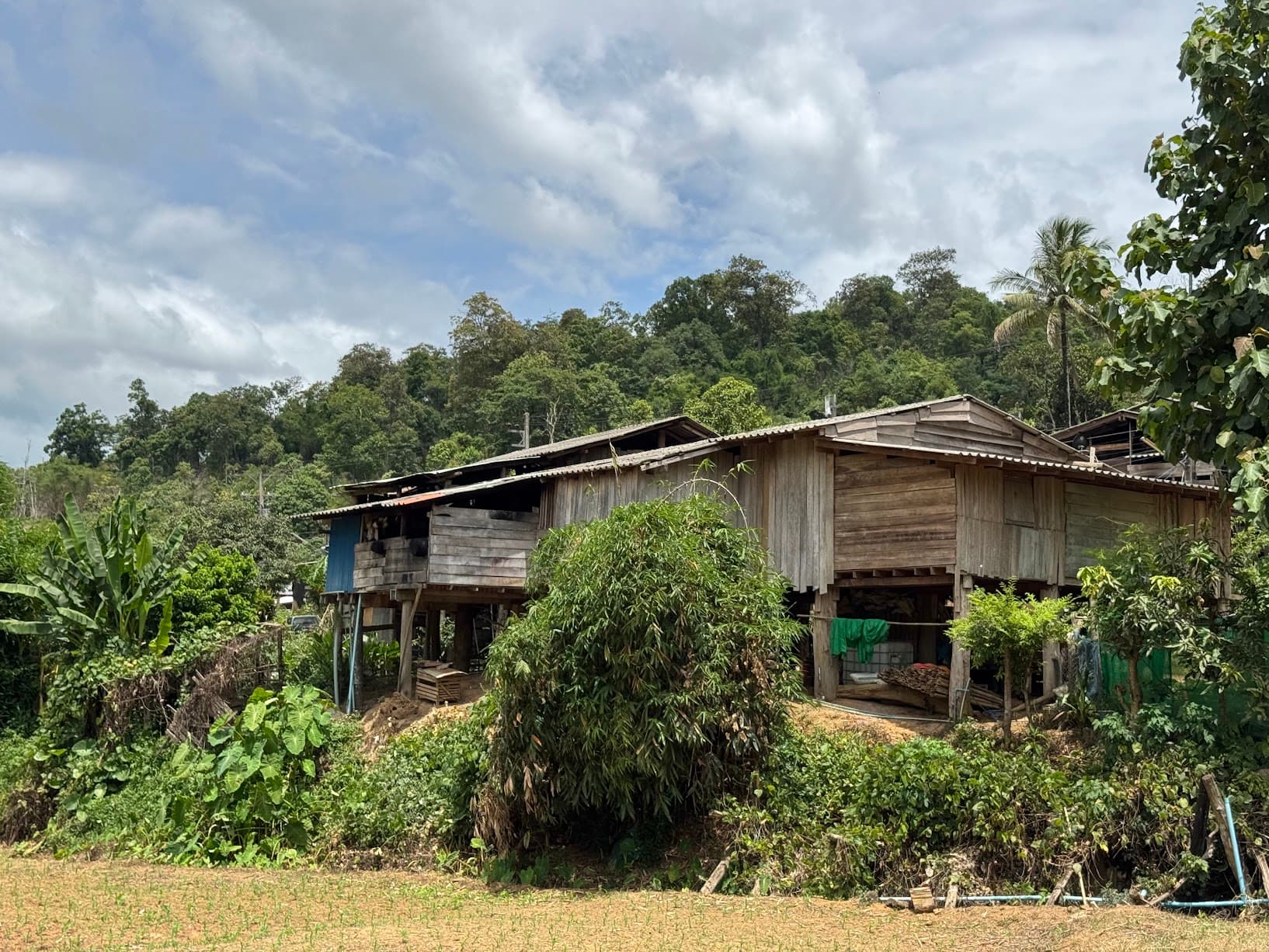 Lampang Farm Roads Explorer