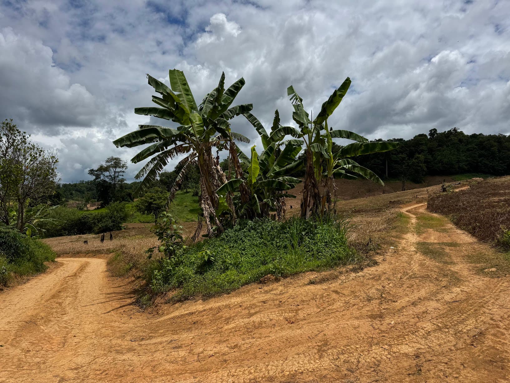 Lampang Farm Roads Explorer