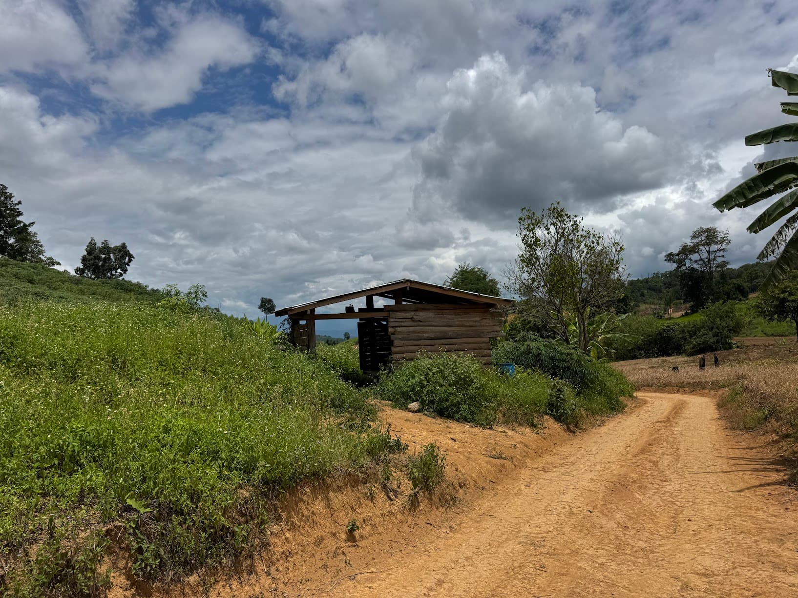 Lampang Farm Roads Explorer