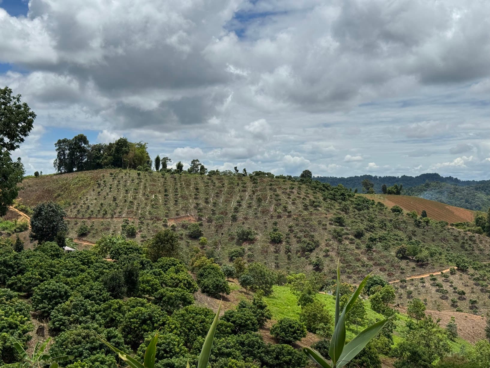 From Phayao to Ban Mae Ngio to Lampang