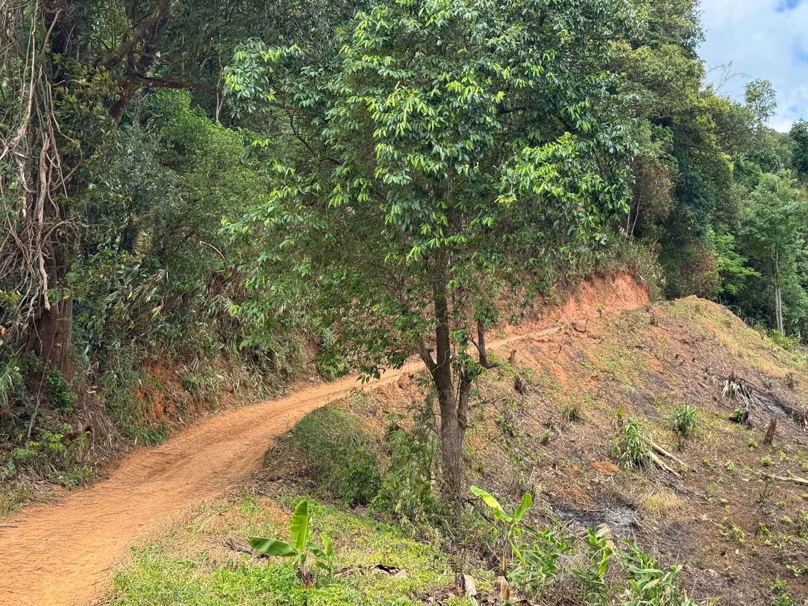 From Phayao to Ban Mae Ngio to Lampang