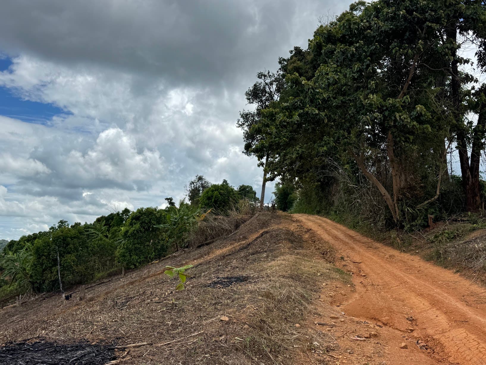 From Phayao to Ban Mae Ngio to Lampang