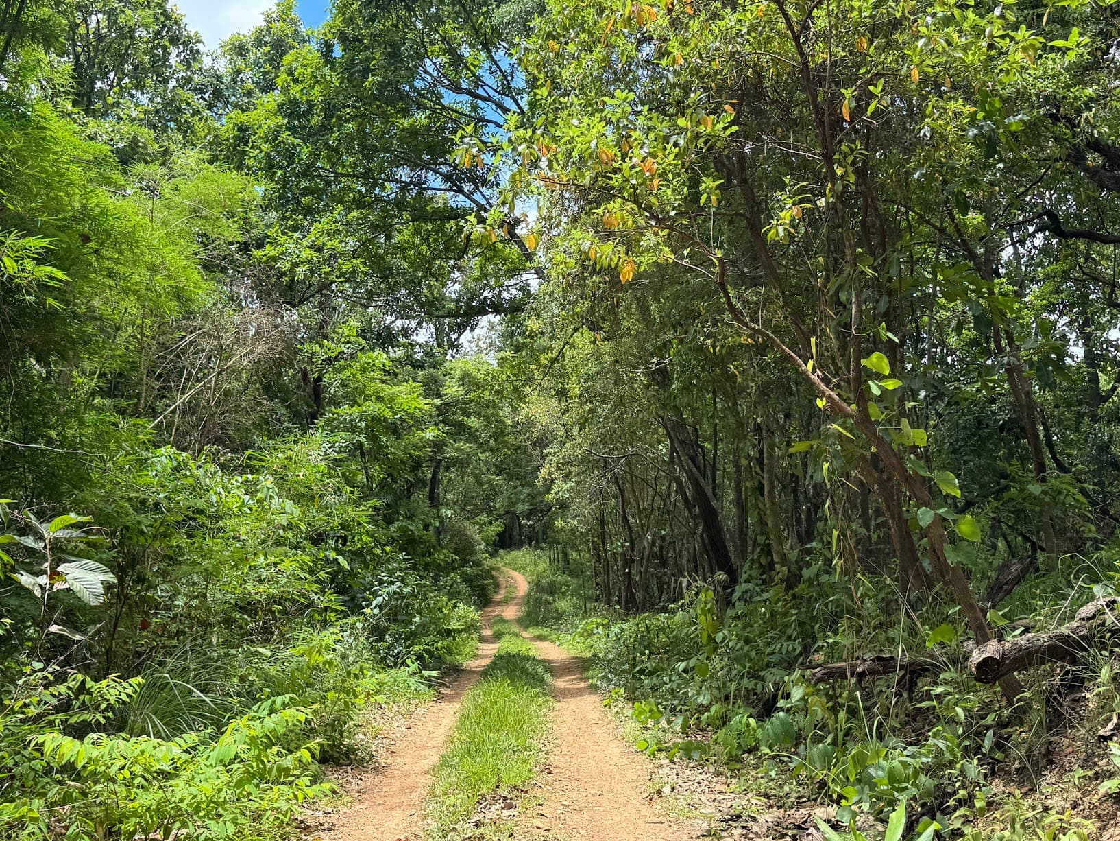 From Phayao to Ban Mae Ngio to Lampang
