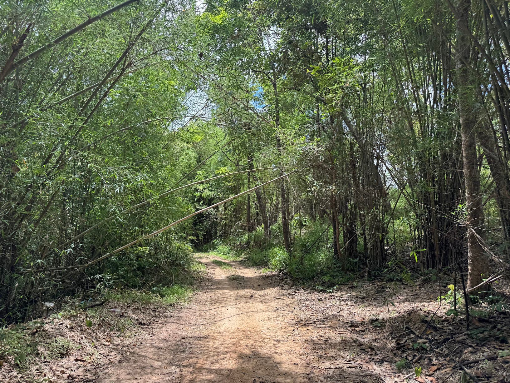 From Phayao to Ban Mae Ngio to Lampang