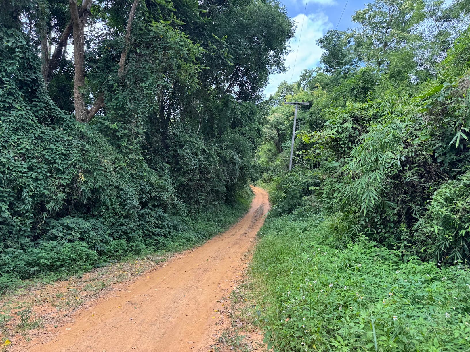 From Phayao to Ban Mae Ngio to Lampang
