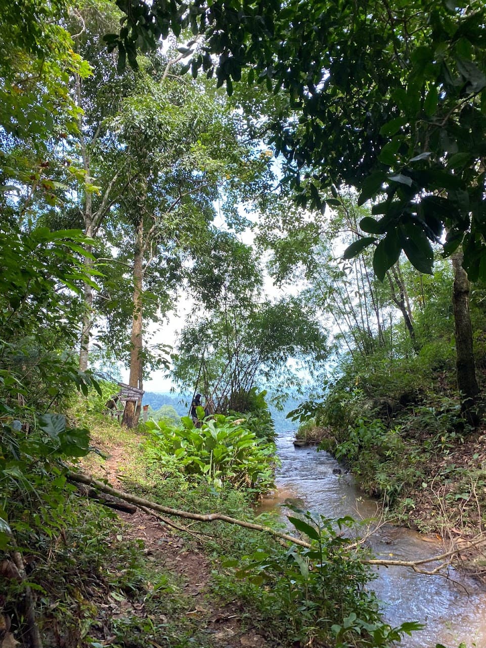 Ban Mon Hin Lai and the Waterfall