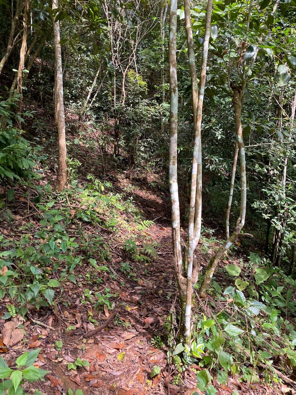 Ban Mon Hin Lai and the Waterfall