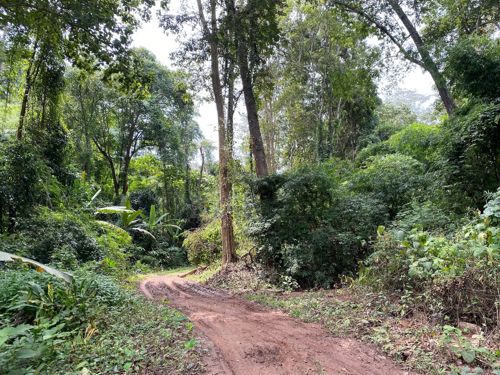 Ban Mon Hin Lai and the Waterfall