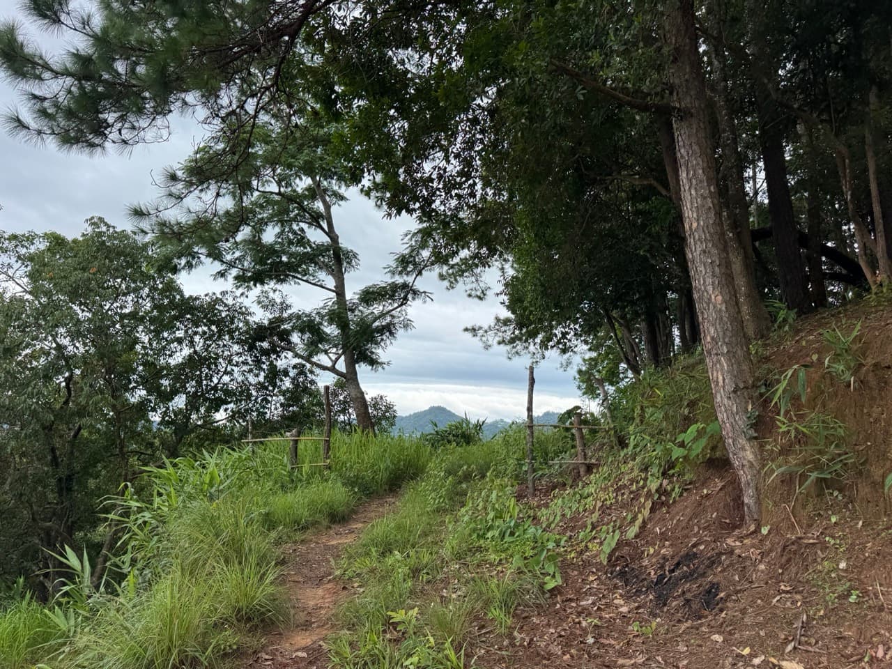 Samoeng to Mon Jam via Farm Roads