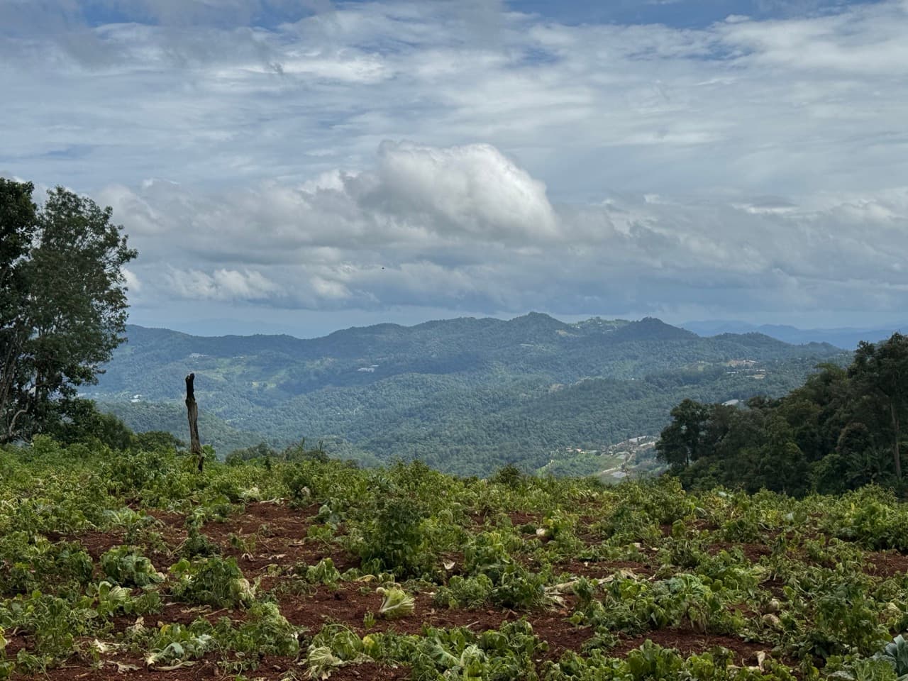 Samoeng to Mon Jam via Farm Roads