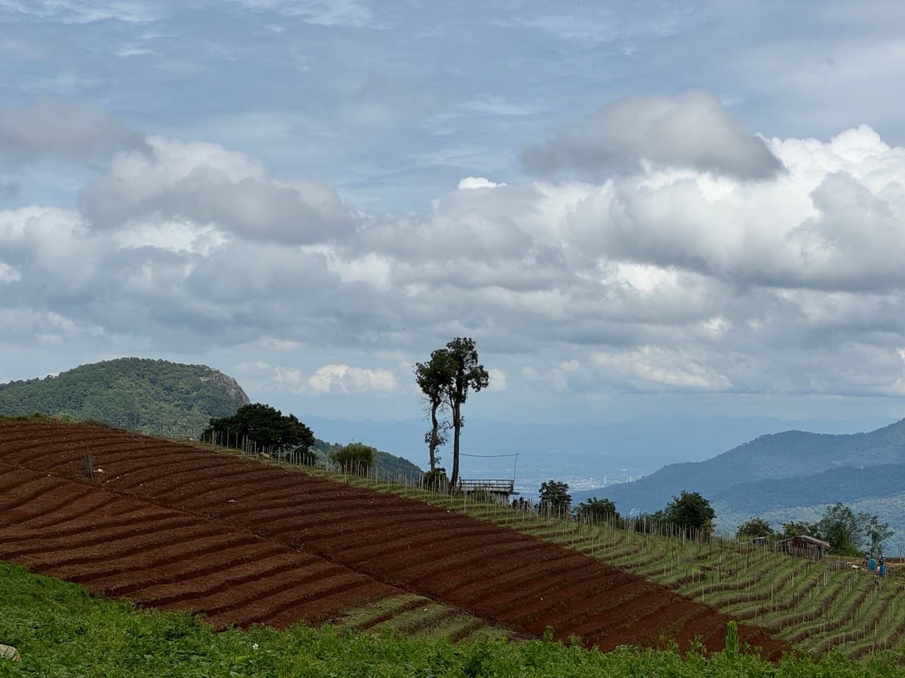 Samoeng to Mon Jam via Farm Roads