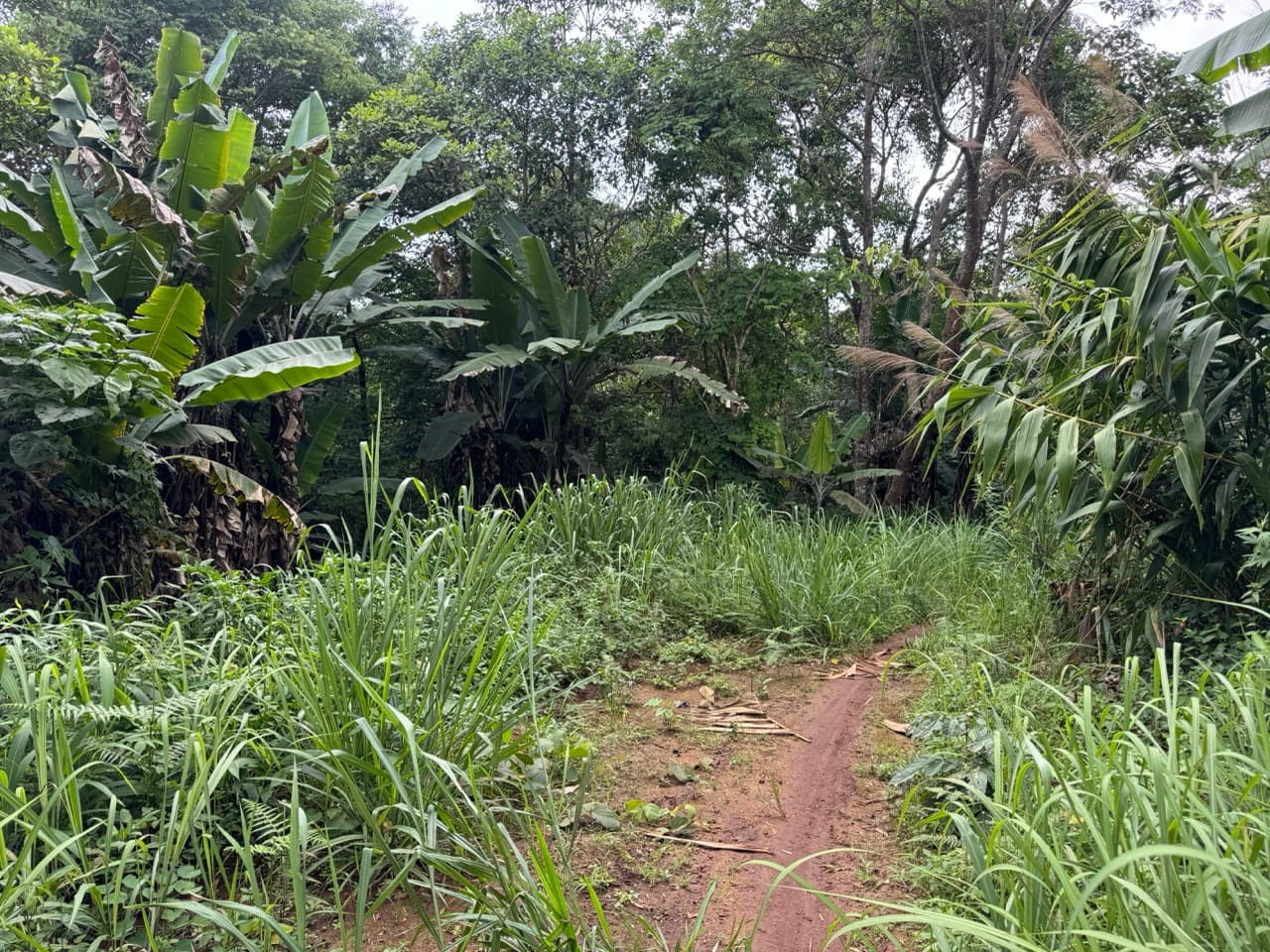 Samoeng to Mon Jam via Farm Roads