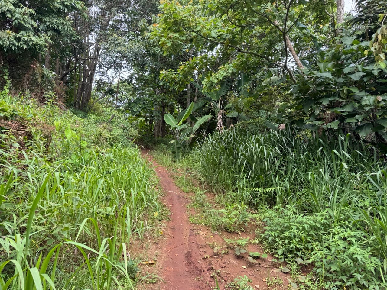 Samoeng to Mon Jam via Farm Roads