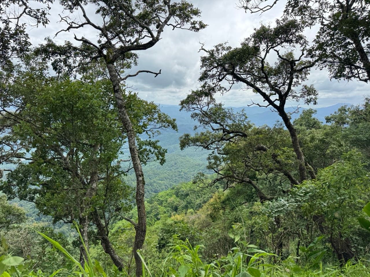 Samoeng to Mon Jam via Farm Roads