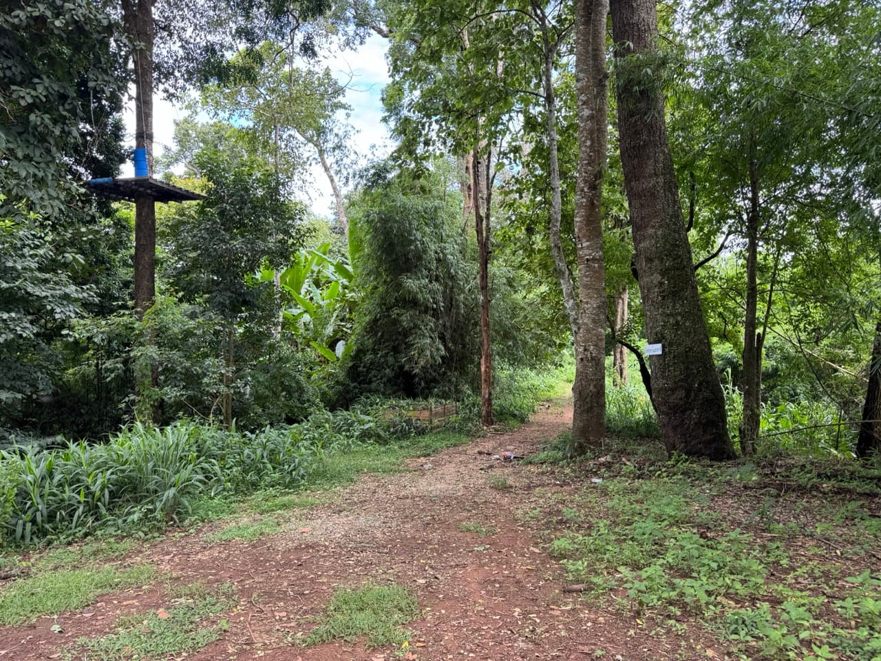 Samoeng to Mon Jam via Farm Roads