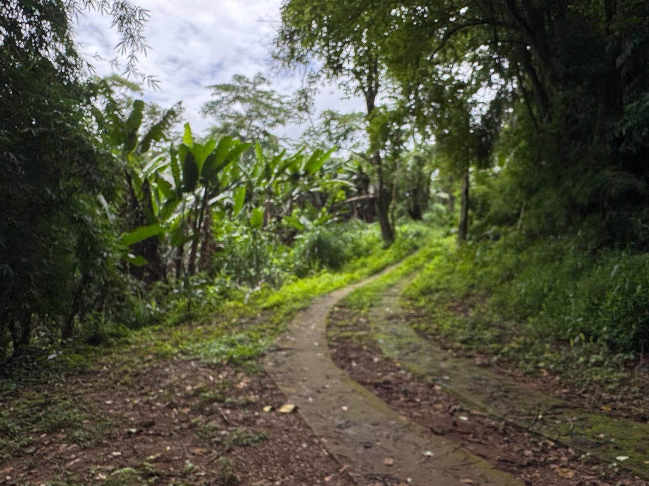 Samoeng to Mon Jam via Farm Roads