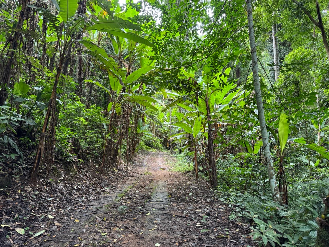 Samoeng to Mon Jam via Farm Roads