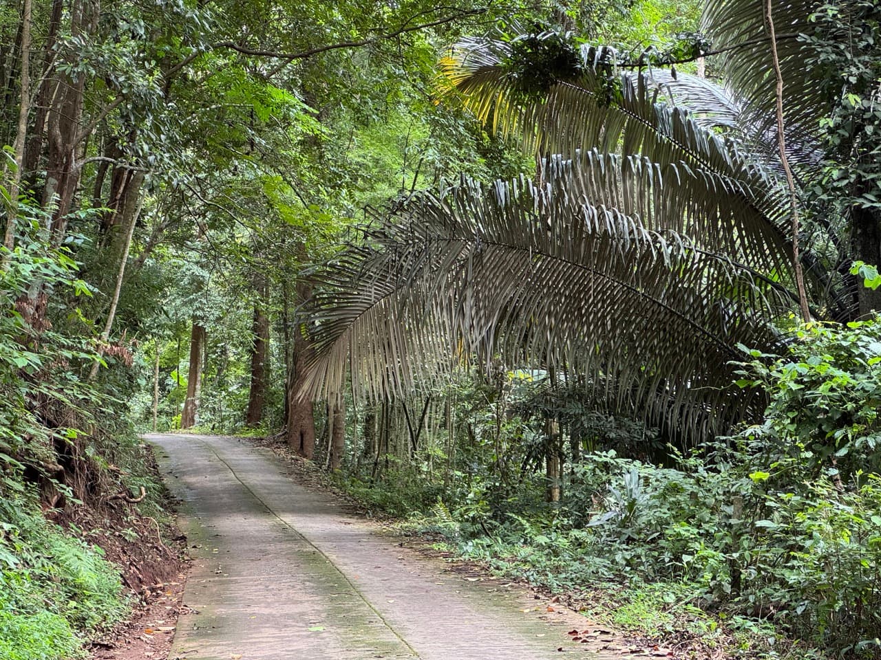 Samoeng to Mon Jam via Farm Roads