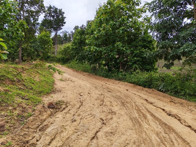 Mae Chaem Eastern Mud Fest
