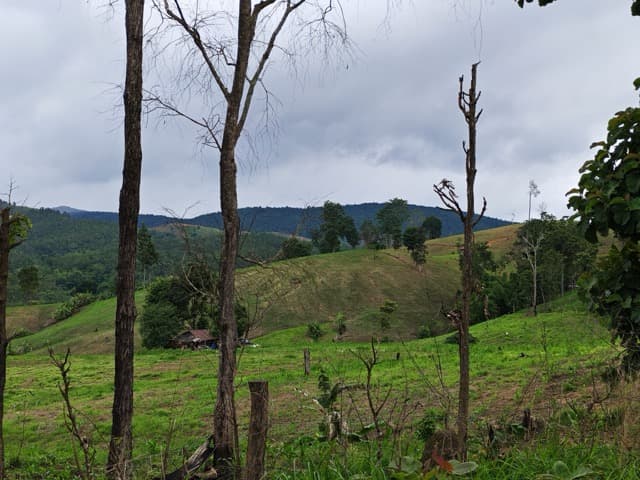 Mae Chaem Eastern Mud Fest