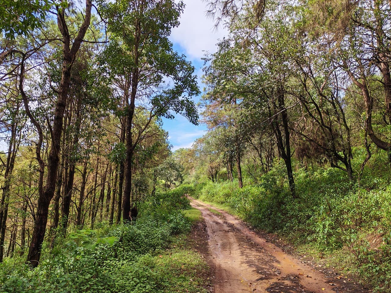 Mae Sariang to Mae Chaem via Village Roads